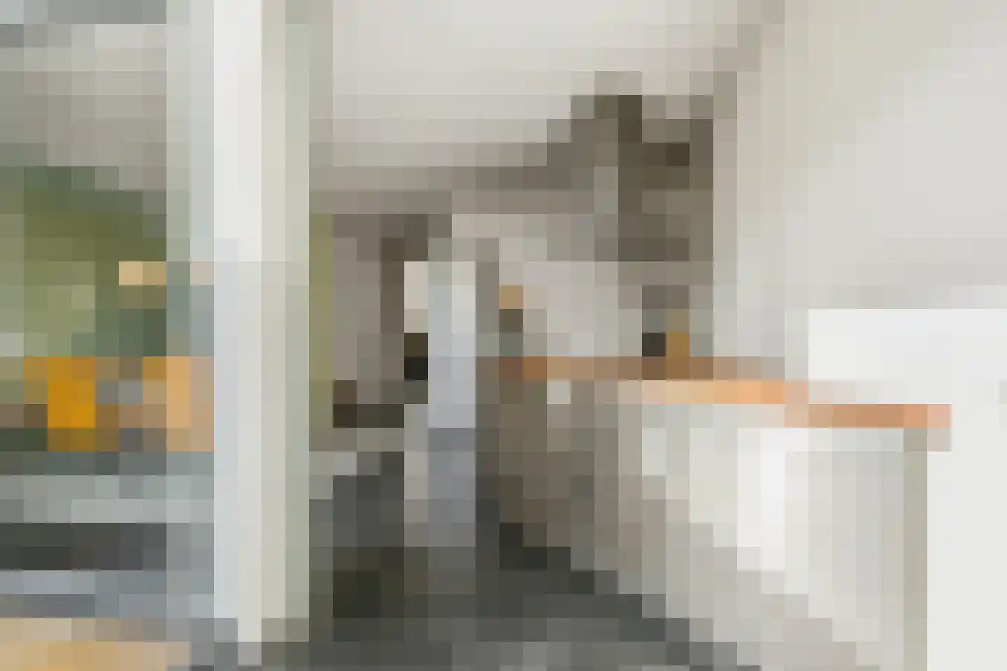 Biesmanstraat 1 Nijmegen thumbnail 8