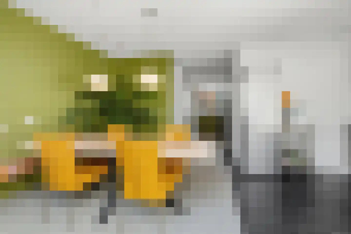 Biesmanstraat 1 Nijmegen thumbnail 9