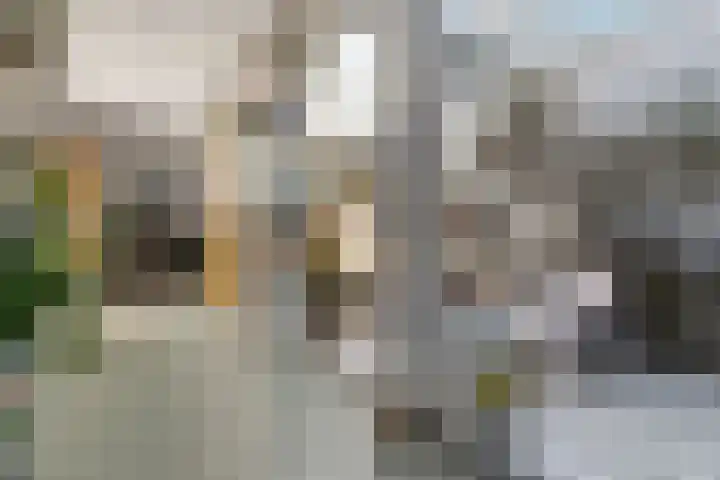Biesmanstraat 3 Nijmegen thumbnail 17