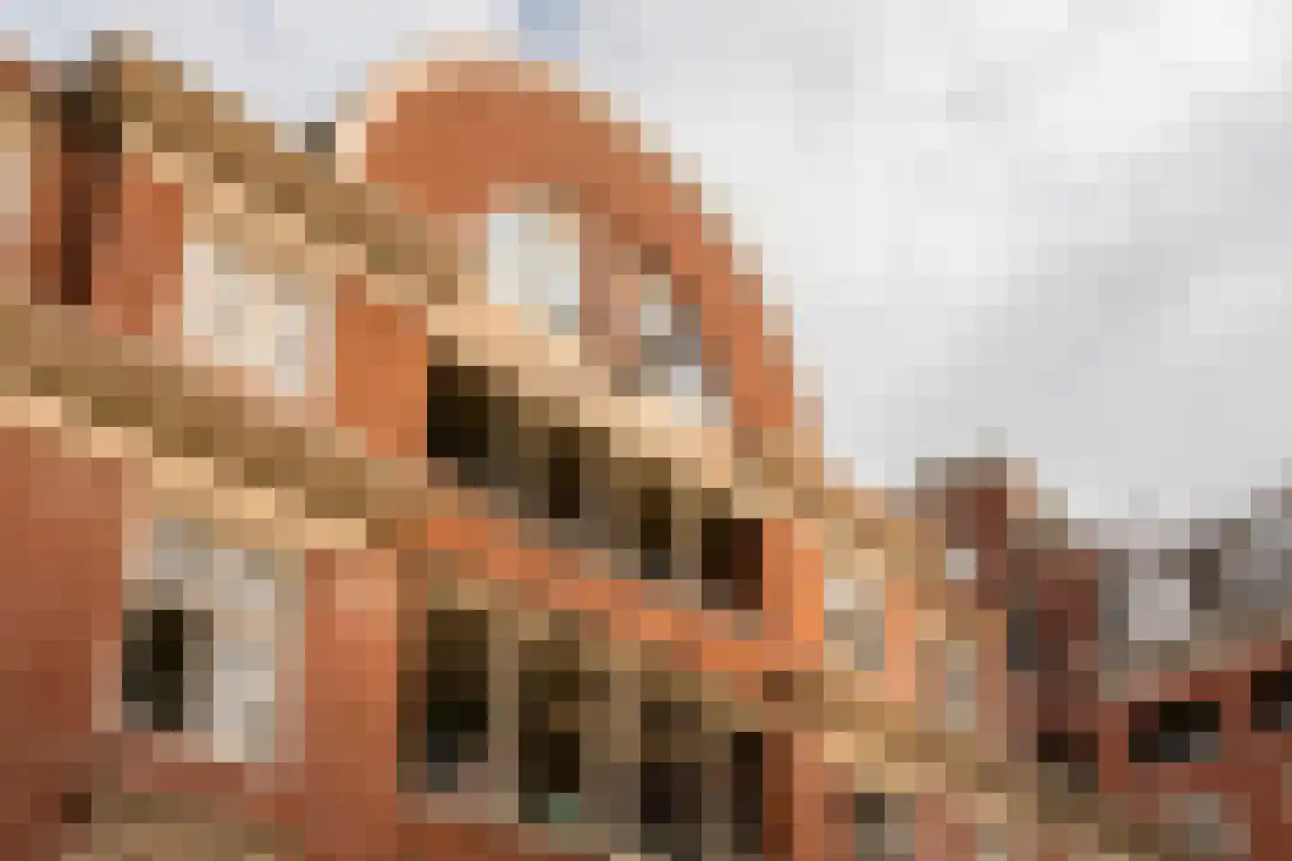 Biesmanstraat 3 Nijmegen thumbnail 21