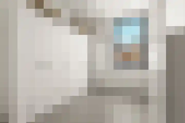 Biesmanstraat 3 Nijmegen thumbnail 30