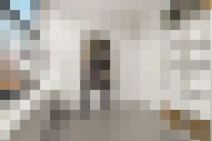 Biesmanstraat 3 Nijmegen thumbnail 35