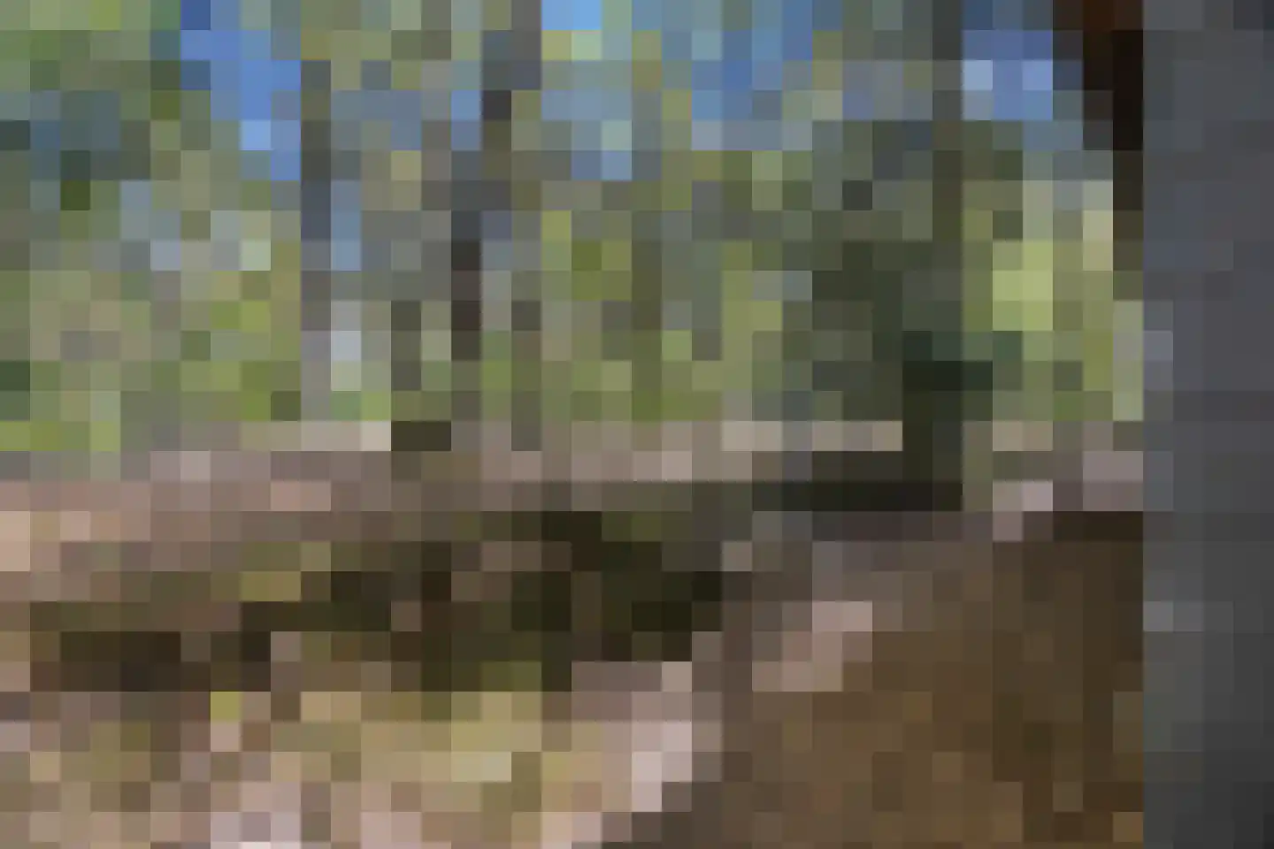 Biesseltsebaan 30 0013 Groesbeek thumbnail 15