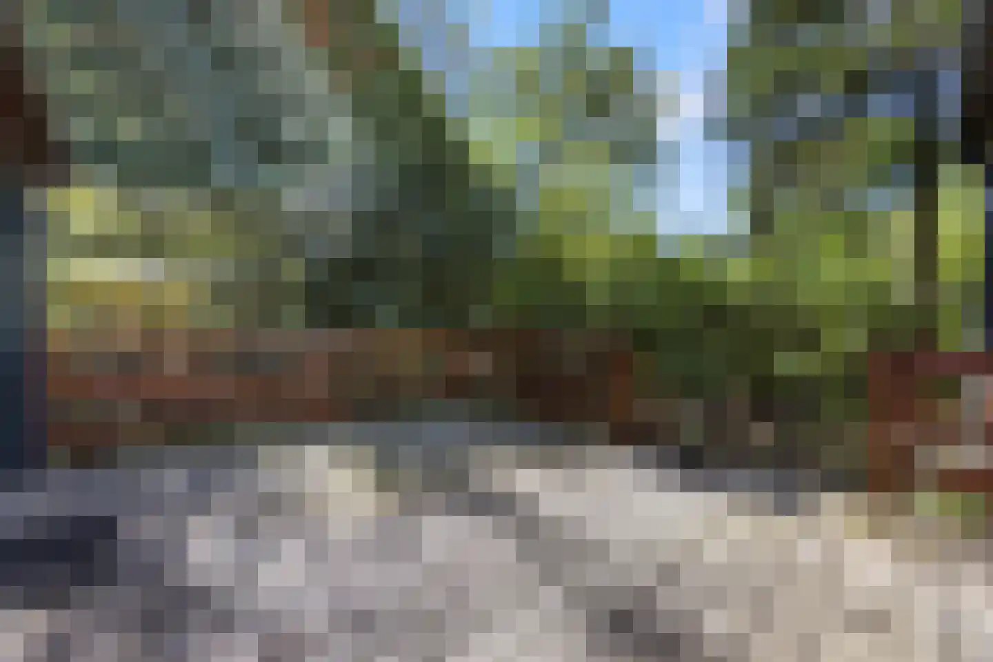Biesseltsebaan 30 0013 Groesbeek thumbnail 16