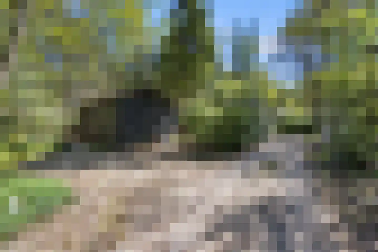 Biesseltsebaan 30 0013 Groesbeek thumbnail 19