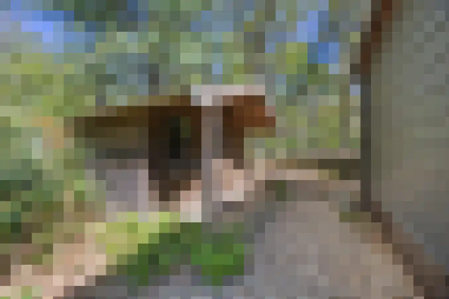 Biesseltsebaan 30 0013 Groesbeek thumbnail 21