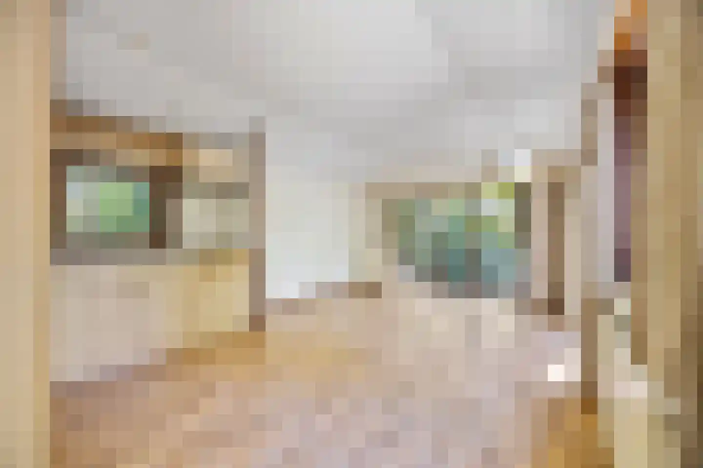 Biesseltsebaan 30 0013 Groesbeek thumbnail 4