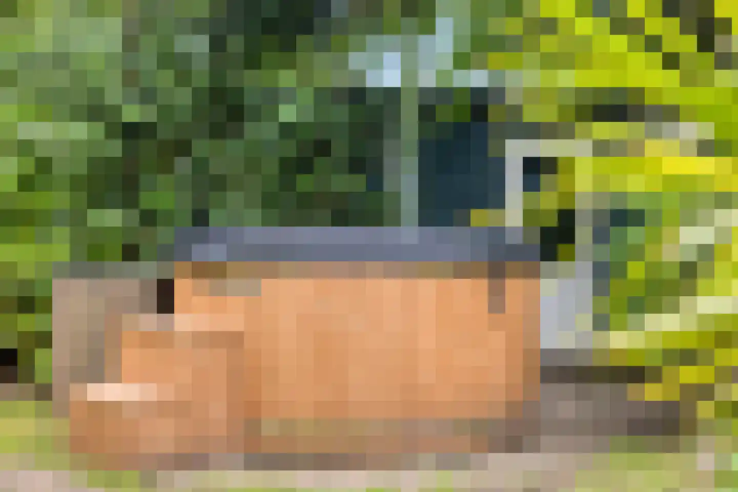 Biesseltsebaan 30 0014 Groesbeek thumbnail 27