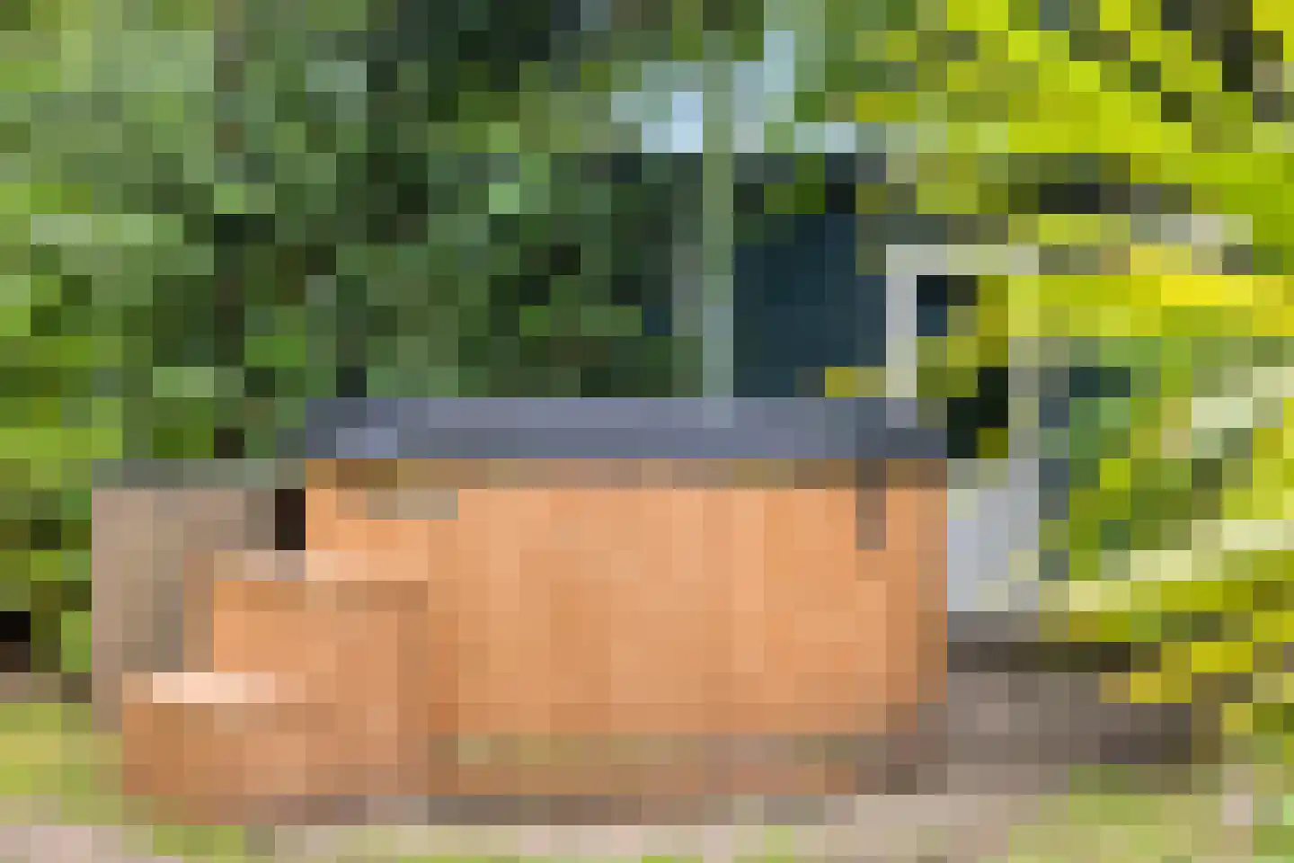 Biesseltsebaan 30 0014 Groesbeek thumbnail 28