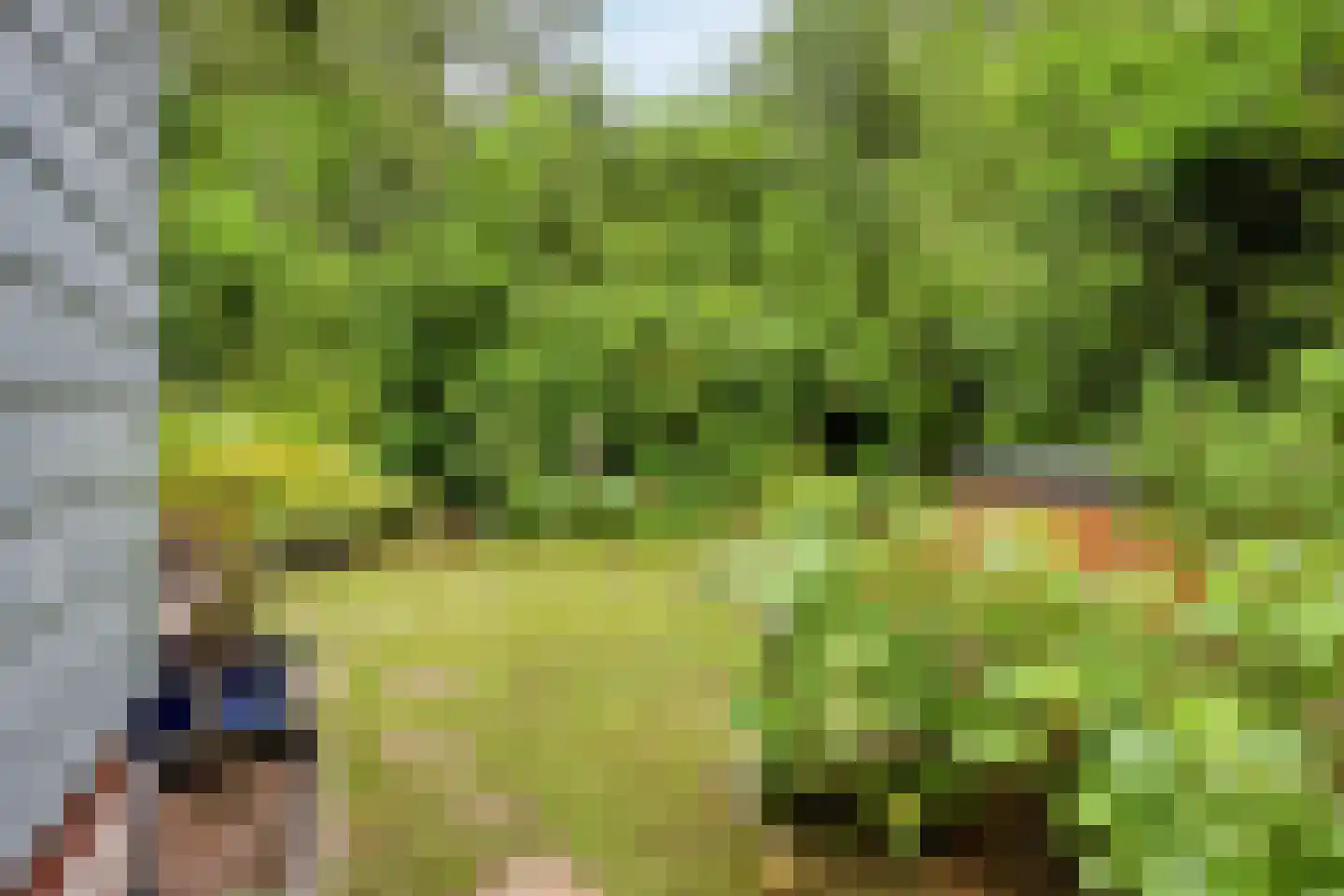 Biesseltsebaan 30 0014 Groesbeek thumbnail 30