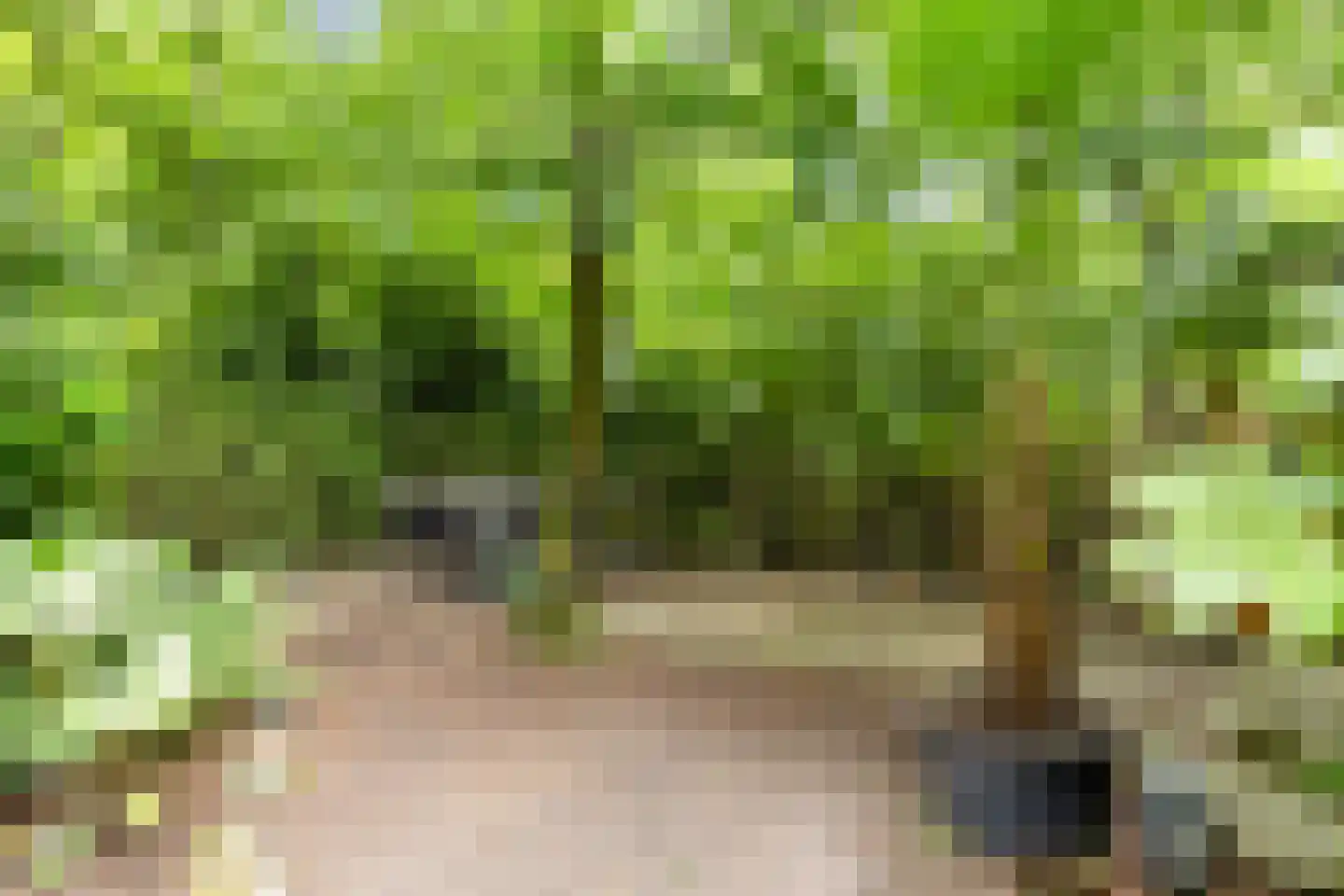 Biesseltsebaan 30 0014 Groesbeek thumbnail 34
