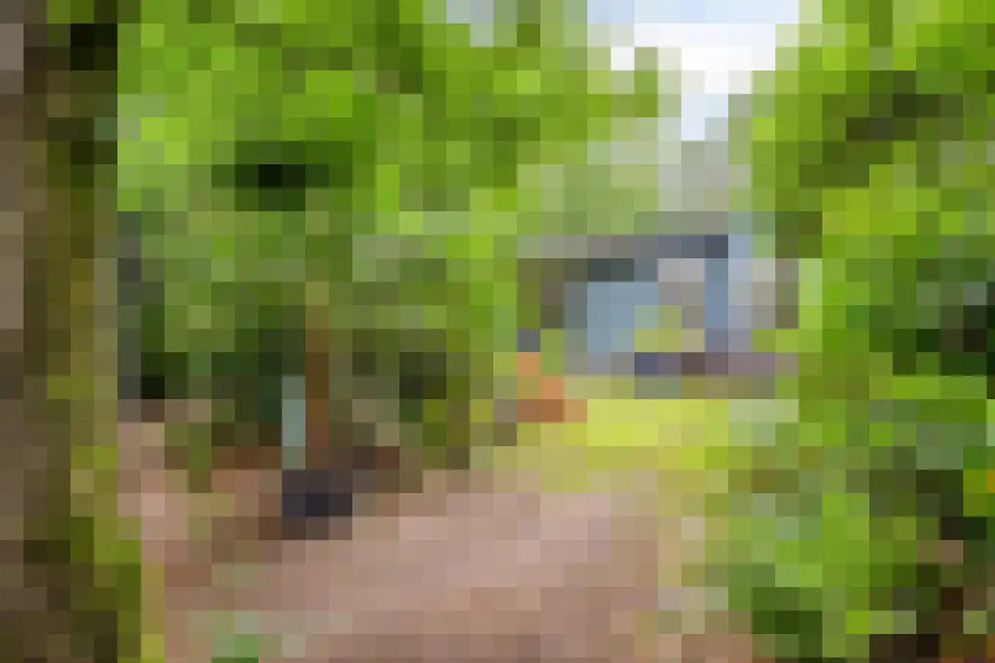 Biesseltsebaan 30 0014 Groesbeek thumbnail 36