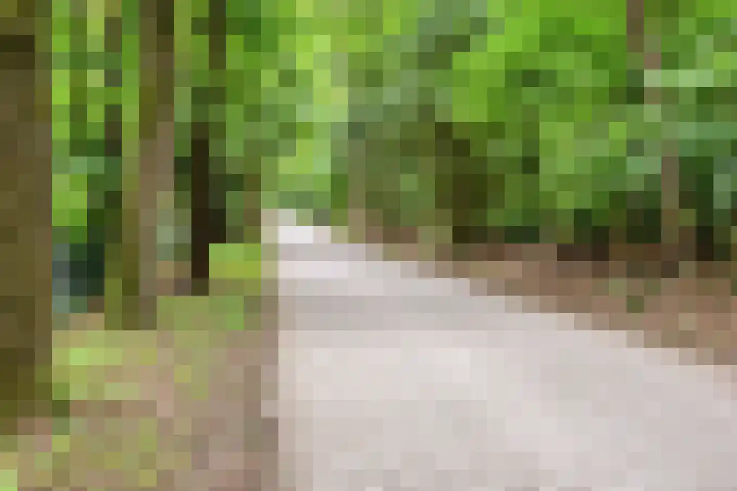 Biesseltsebaan 30 0014 Groesbeek thumbnail 38