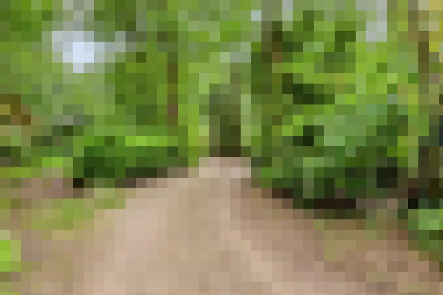 Biesseltsebaan 30 0014 Groesbeek thumbnail 6