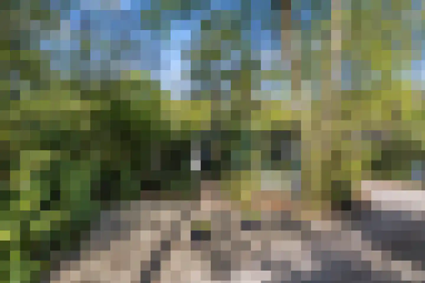 Biesseltsebaan 30 0056 Groesbeek thumbnail 20