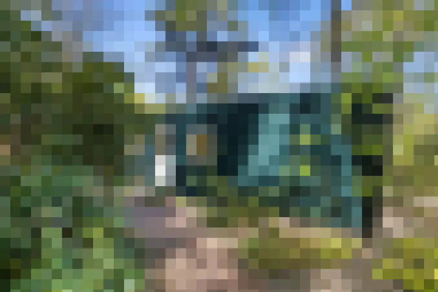 Biesseltsebaan 30 0056 Groesbeek thumbnail 21