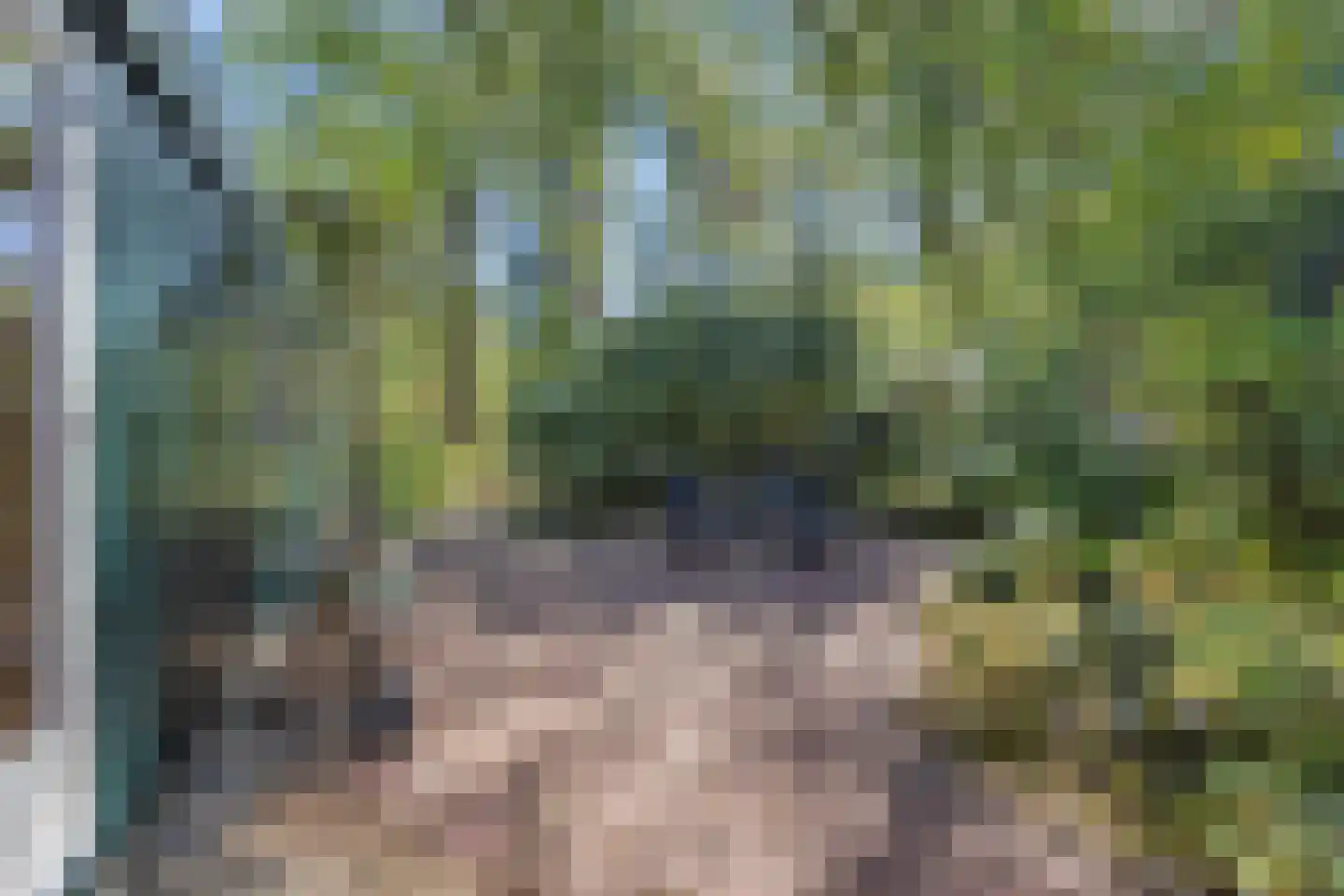 Biesseltsebaan 30 0056 Groesbeek thumbnail 22