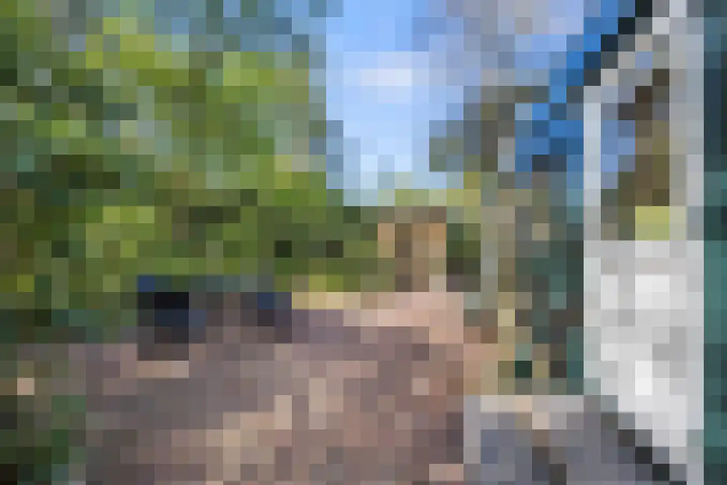 Biesseltsebaan 30 0056 Groesbeek thumbnail 23