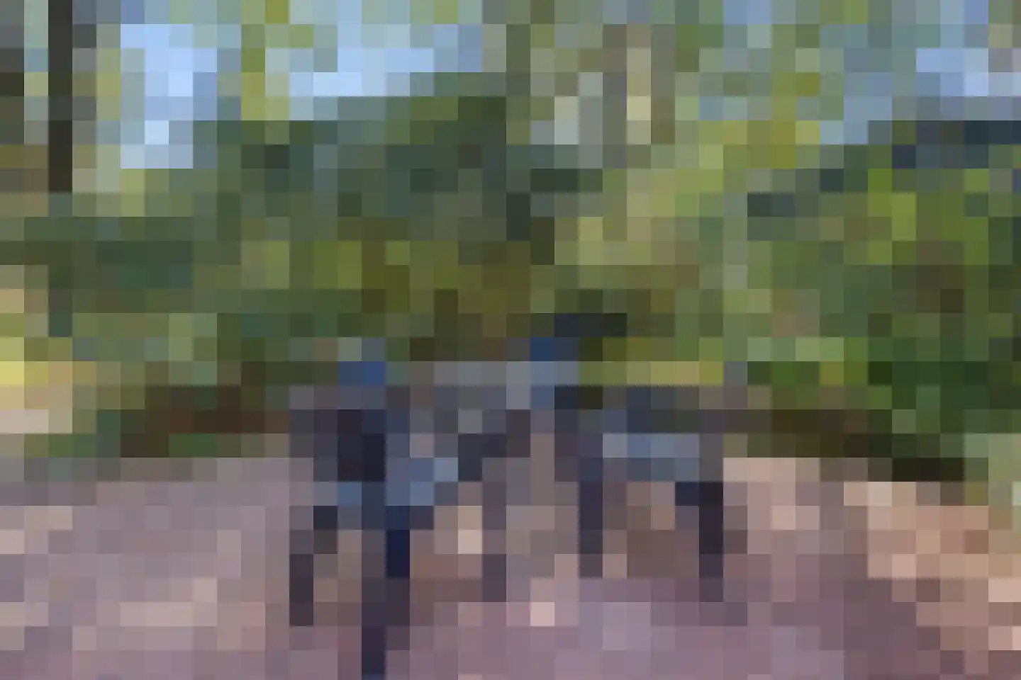 Biesseltsebaan 30 0056 Groesbeek thumbnail 24