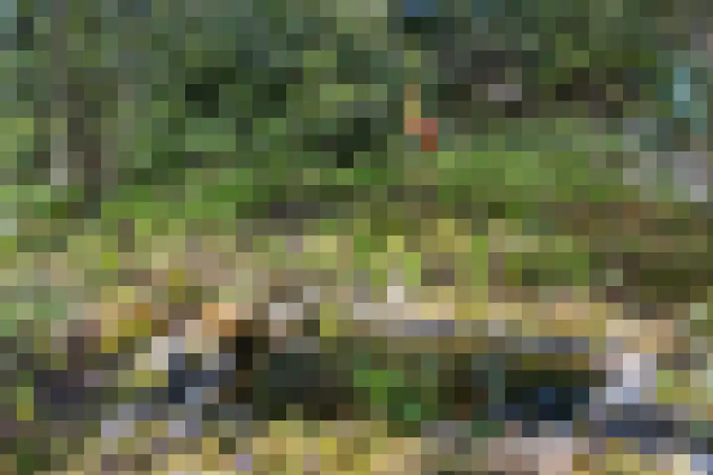 Biesseltsebaan 30 0056 Groesbeek thumbnail 25