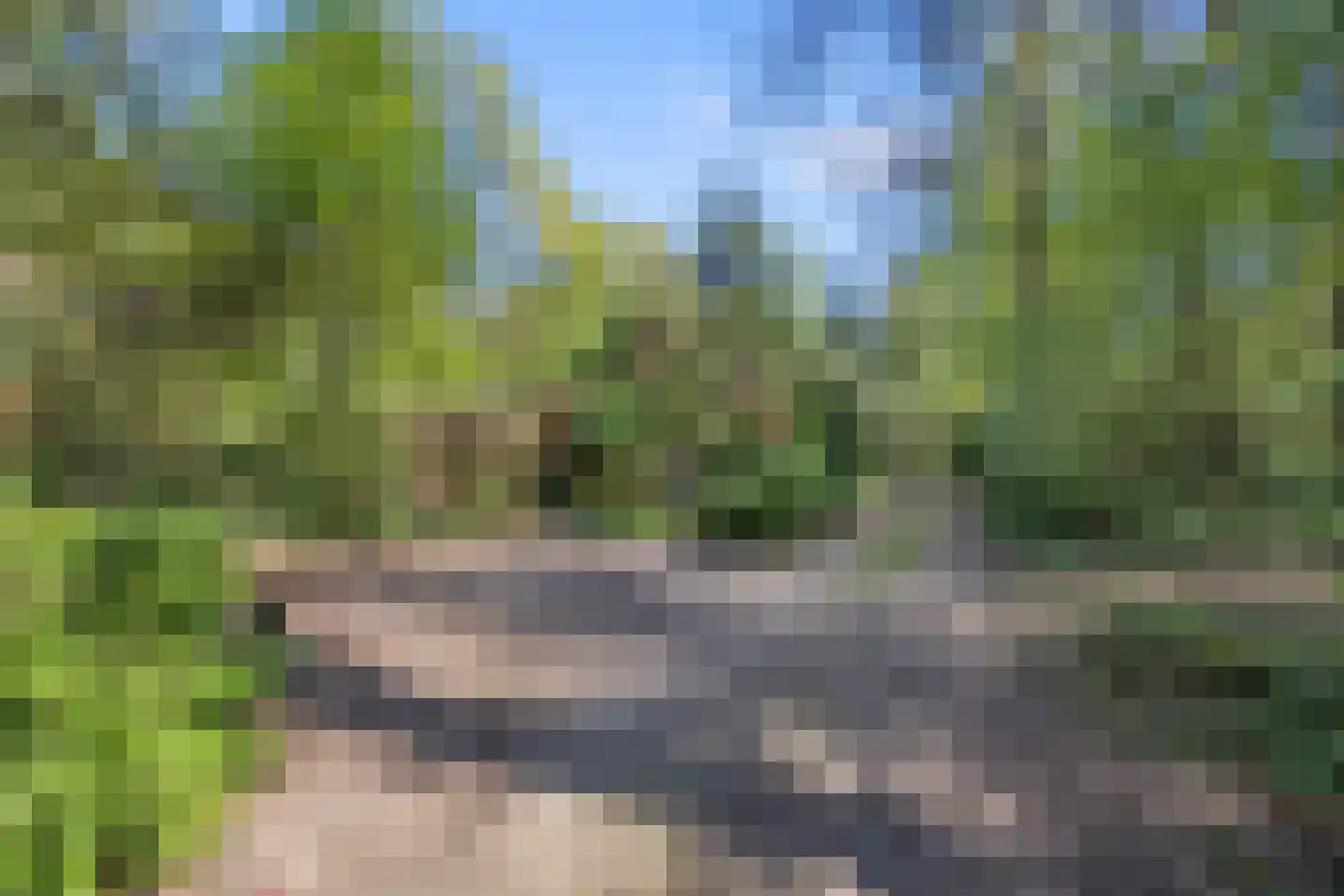 Biesseltsebaan 30 0093 Groesbeek thumbnail 35
