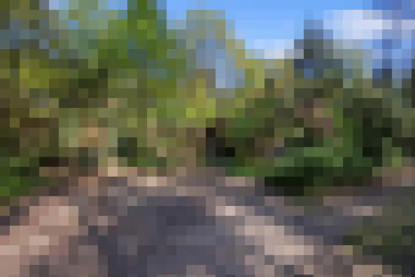 Biesseltsebaan 30 0093 Groesbeek thumbnail 4