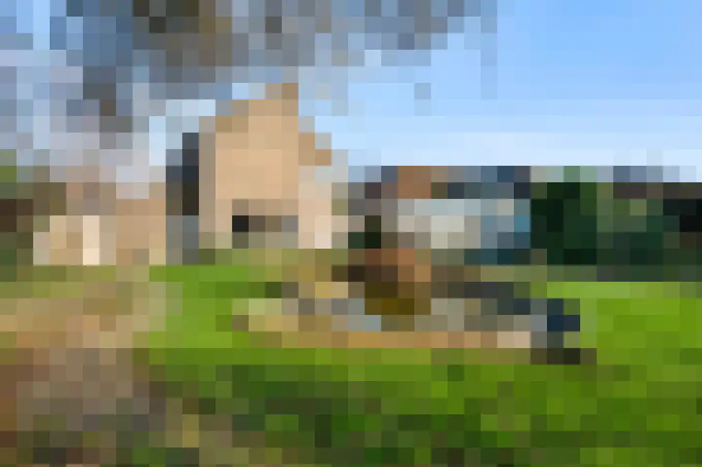 Biesstraat 16 Heythuysen thumbnail 49