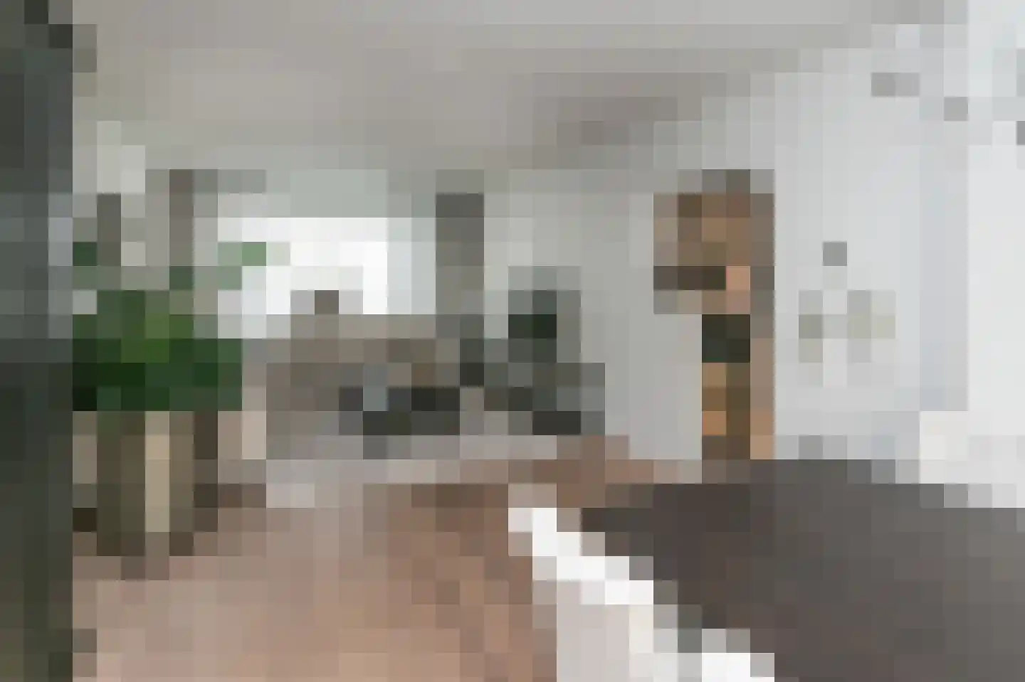Biesstraat 6 Brunssum thumbnail 4