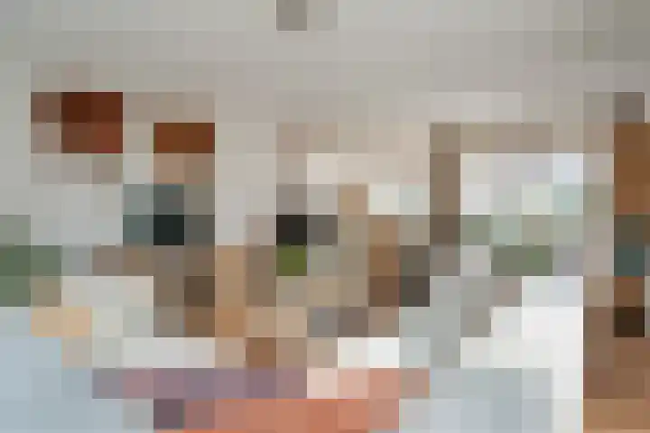 Biessumerwaard 22 Delfzijl thumbnail 24