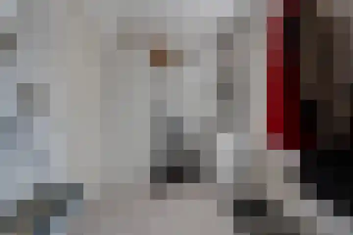 Biessumerwaard 22 Delfzijl thumbnail 31