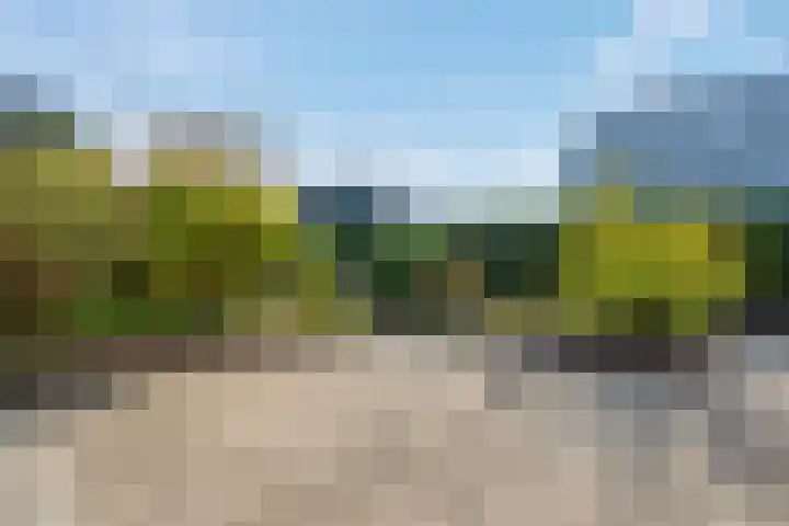 Biessumerwaard 22 Delfzijl thumbnail 41