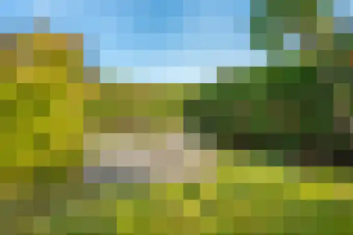 Biessumerwaard 22 Delfzijl thumbnail 45