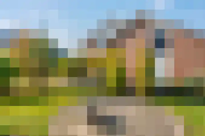 Biessumerwaard 22 Delfzijl thumbnail 46