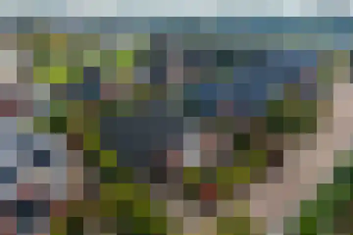 Biessumerwaard 22 Delfzijl thumbnail 6