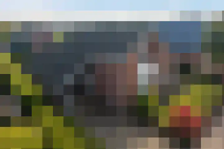 Biessumerwaard 22 Delfzijl thumbnail 7