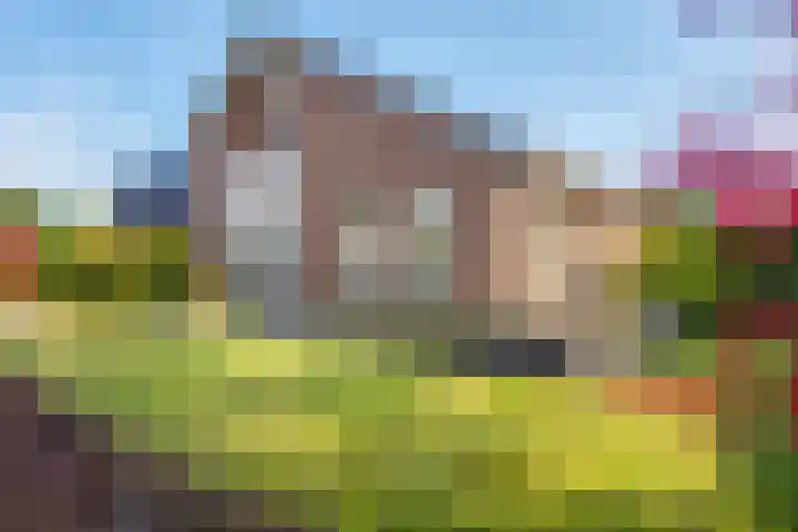 Biessumerwaard 22 Delfzijl thumbnail 8