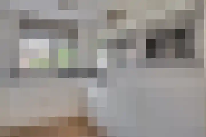 Biest 106 C Weert thumbnail 12