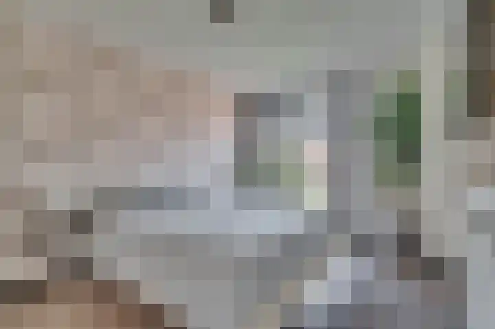 Biest 106 C Weert thumbnail 21