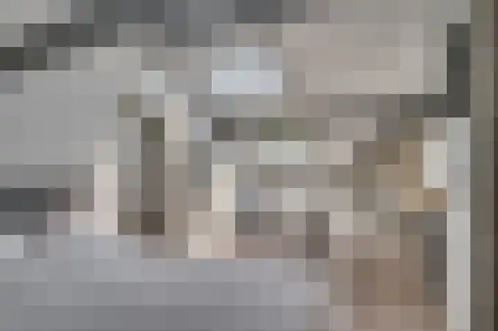 Biest 106 C Weert thumbnail 33