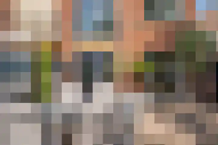 Biest 106 C Weert thumbnail 39