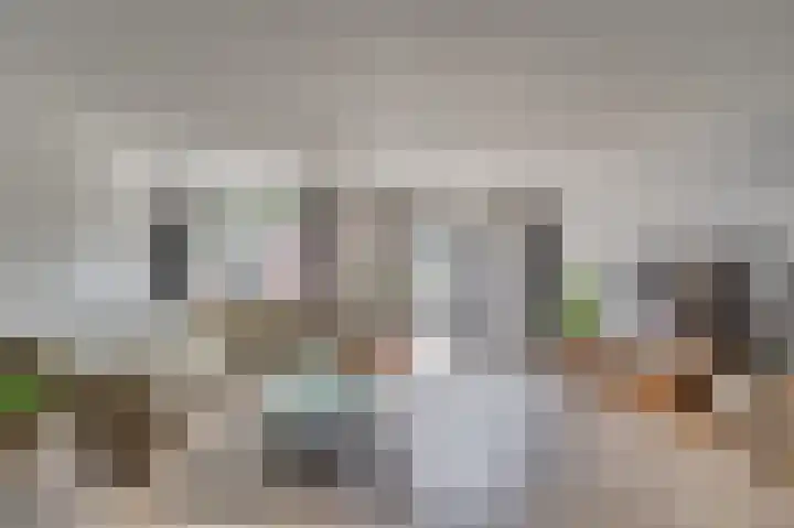 Biest 106 C Weert thumbnail 4