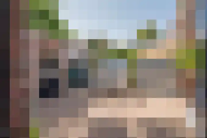 Biest 106 C Weert thumbnail 40