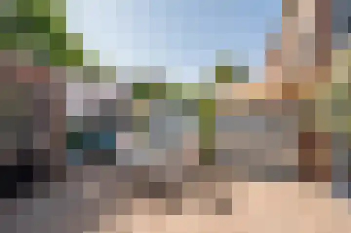 Biest 106 C Weert thumbnail 41