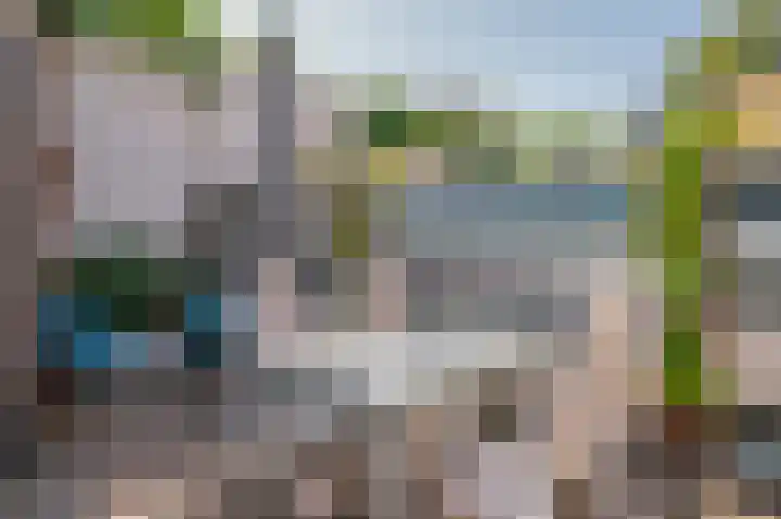 Biest 106 C Weert thumbnail 43