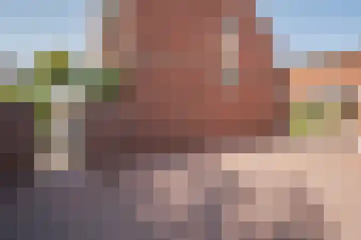 Biest 106 C Weert thumbnail 44