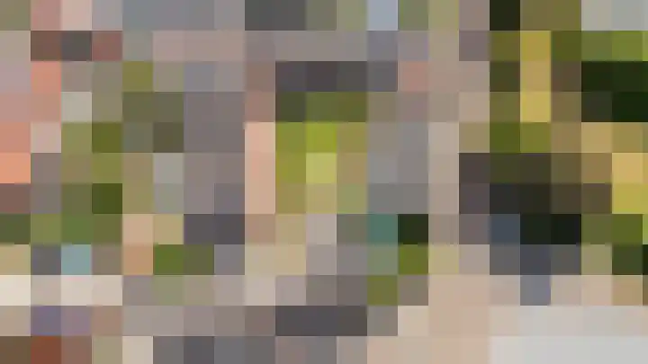 Biest 106 C Weert thumbnail 48