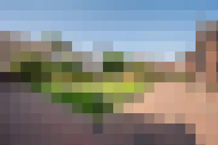 Biest 106 C Weert thumbnail 52
