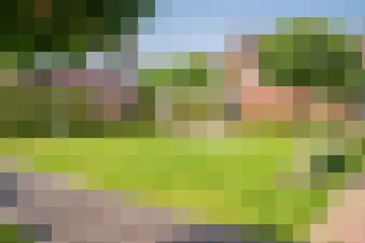 Biest 106 C Weert thumbnail 53