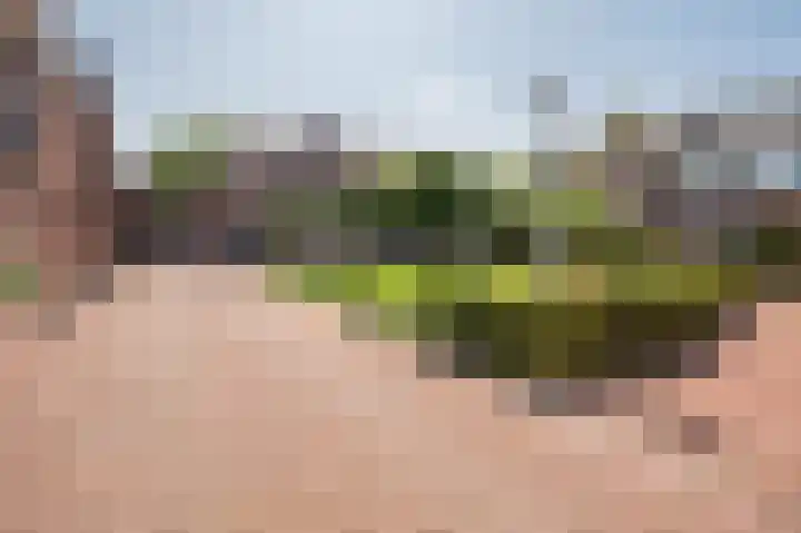 Biest 106 C Weert thumbnail 57