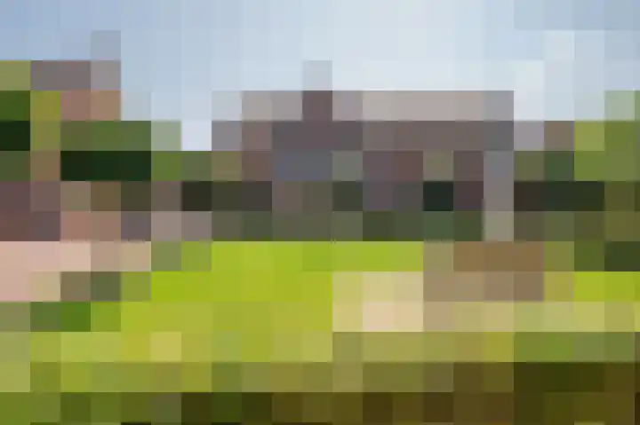 Biest 106 C Weert thumbnail 58